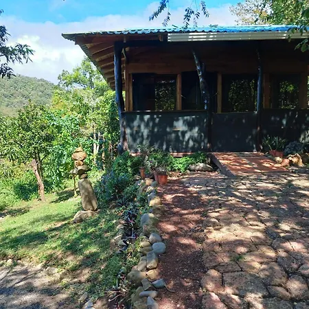 Casa Monstera Villa